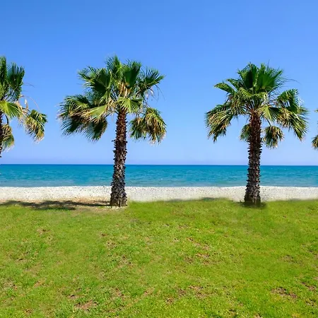 Pebble オロクリニ